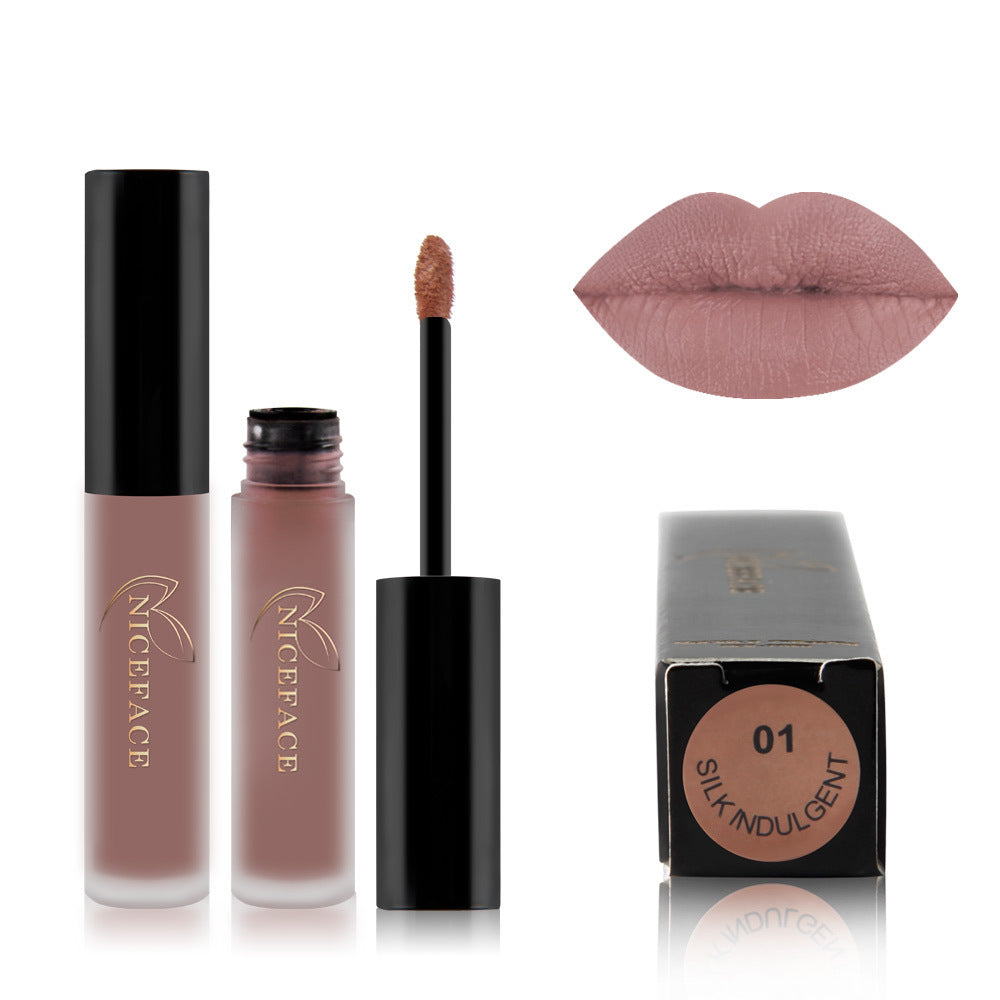 Meta Digital Store Makeup 24 color lip gloss