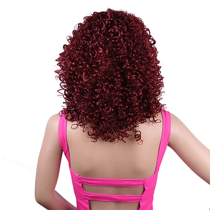 Meta Digital Store Synthetic Afro Curly Wig African Wigs For Black Women