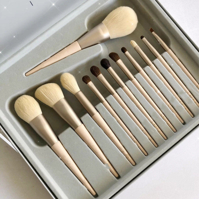 Meta Digital Store Set Of 12 Makeup Brushes