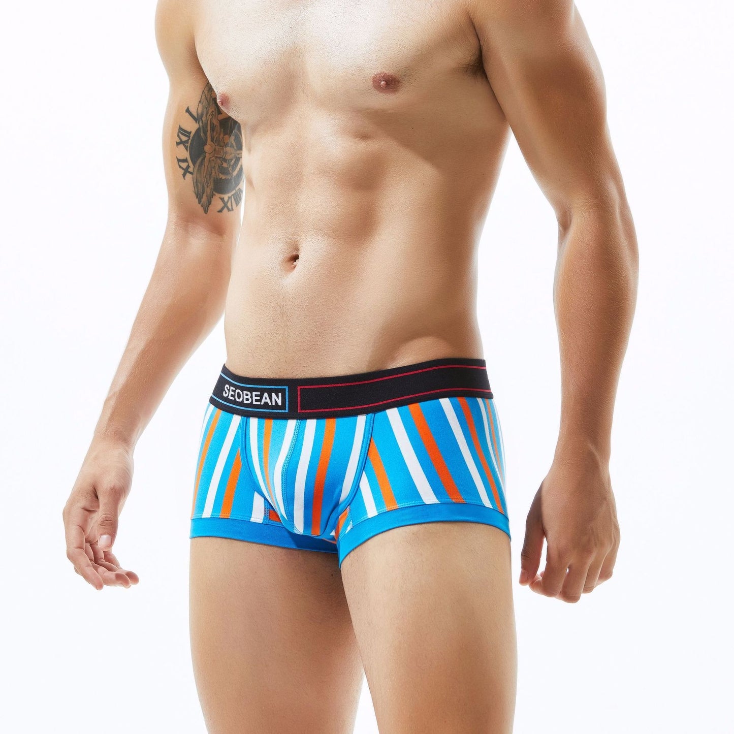 Striped Men's Underwear Rainbow Sport Boxer